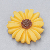 Resin Cabochons CRES-Q197-24-2
