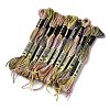 10 Skeins 6-Ply Polyester Embroidery Floss OCOR-K006-A43-1