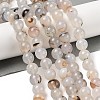 Natural Dendritic Agate Beads Strands G-A248-A07-02-1