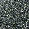 MIYUKI Round Rocailles Beads SEED-JP0009-RR3201-3