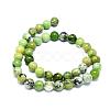 Natural Serpentine Beads Strands G-F576-01-10mm-2