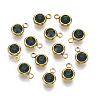 PVD Vacuum Plating 201 Stainless Steel Rhinestone Charms LS-X-STAS-S068-05G-2