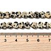 Natural Dalmatian Jasper Beads Strands G-A272-A01-32-6