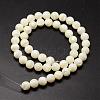 Natural Sea Shell Beads Strands SSHEL-K013-8mm-A-2