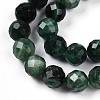 Natural Fuchsite Beads Strands G-S345-10mm-33-4