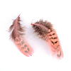 Chicken Feather Costume Accessories X-FIND-Q460-05-2