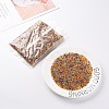 12/0 Round Glass Seed Beads SEED-US0003-2mm-TR-5