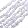 Natural Blue Lace Agate Chips Beads Strands G-M205-50-1