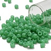 TOHO 3/0 Round Beads SEED-TR03-0156-1