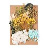 Dried Flower DIY-B018-03-1
