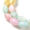 Rainbow Color Dyed Natural Freshwater Shell Beads Strands SHEL-G018-02H-3