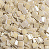 MIYUKI TILA Beads SEED-X0054-TL488-4