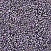 MIYUKI Delica Beads SEED-X0054-DB1065-3