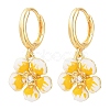 Brass Micro Pave Cubic Zirconia Hoop Dangle Earrings KK-CBA8324-10G-02-4