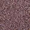 TOHO 11/0 Round Beads X-SEED-TR11-0771-2