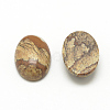 Natural Picture Jasper Cabochons X-G-R415-14x10-42-2