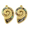 Natural Paua Shell Pendants STAS-P341-01G-01-1
