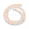 Handmade Millefiori Glass Bead Strands LAMP-J035-8mm-23-6