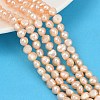 Natural Cultured Freshwater Pearl Beads Strands PEAR-P064-20A-04D-1