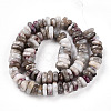 Natural Plum Blossom Tourmaline Beads Strands G-T141-29-2