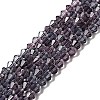 Purple Glass Bicone Beads Strands X-GLAA-S026-03-1