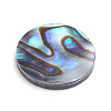 Natural Abalone Shell/Paua Shell Cabochons X-SSHEL-L017-001-2