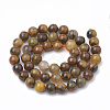 Natural Pietersite Beads Strands G-S333-10mm-010-3