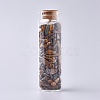 Glass Wishing Bottle DJEW-L013-A16-1