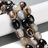 Natural Eye Agate Beads Strands G-NH0019-C04-07-4