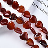 Natural Red Agate Beads Strands X-G-S364-097-4