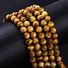 Natural Tiger Eye Beads Strands G-G099-10mm-9-5