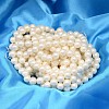 Round Shell Pearl Bead Strands BSHE-L011-12mm-A013A-2