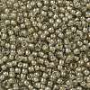 TOHO Round Seed Beads X-SEED-TR08-0369-2