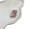 Acrylic Claw Hair Clips PW-WG234CC-01-1
