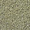 MIYUKI Delica Beads X-SEED-J020-DB1181-3