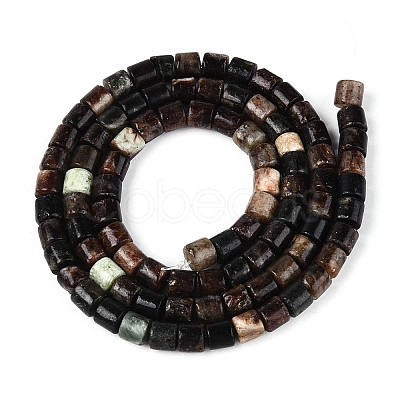 Natural Biotite Beads Strands G-T141-88B-1
