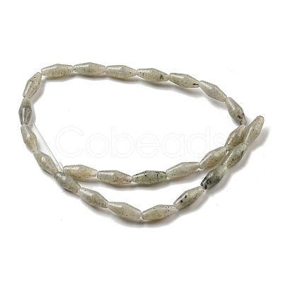 Natural Labradorite Beads Strands G-A223-A04-01-1