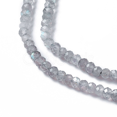 Natural Labradorite Beads Strands G-F596-07-1