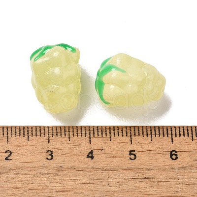 Handmade Lampwork Beads Strands LAMP-G162-05D-1