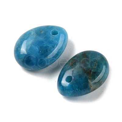 Natural Apatite Teardrop Charms G-M410-01-12-1