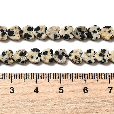 Natural Dalmatian Jasper Beads Strands G-A272-A01-32-1