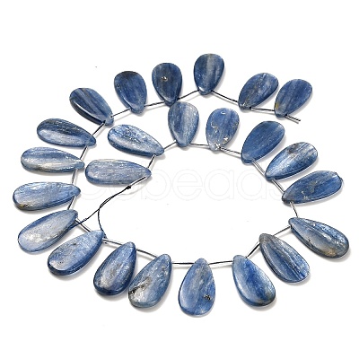 Natural Kyanite Beads Strands G-H335-E01-10x30mm-1