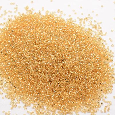 8/0 Round Glass Seed Beads SEED-J018-F8-62-1
