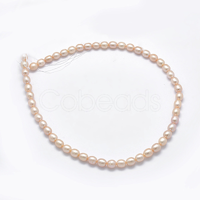 Natural Cultured Freshwater Pearl Beads Strands PEAR-K003-23C-01-1