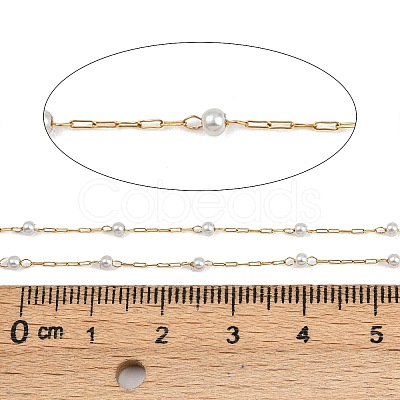 304 Stainless Steel Paperclip Chains CHS-P022-01G-1