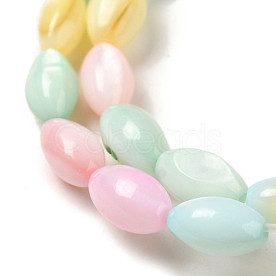 Rainbow Color Dyed Natural Freshwater Shell Beads Strands SHEL-G018-02H-1