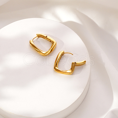 304 Stainless Steel Hoop Earrings for Women VX9531-1