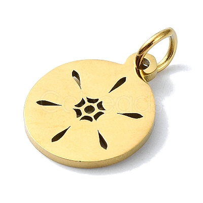 304 Stainless Steel Charms STAS-C097-46G-03-1