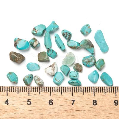 Synthetic Turquoise Chip Beads G-FS0001-13-1