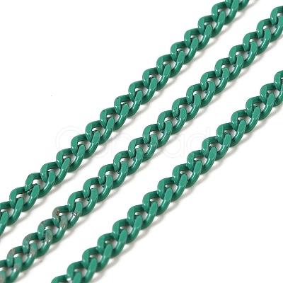 Spray Painted 304 Stainless Steel Curb Chains STAS-B067-05A-10-1